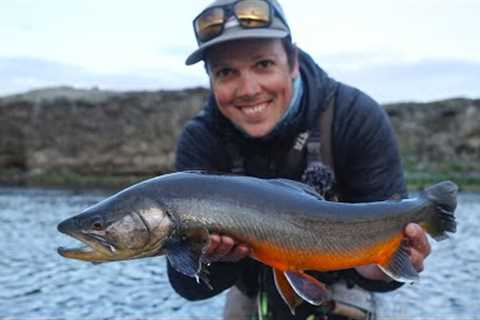 I Used to Hate Dry Fly Fishing… Until I Made These Changes