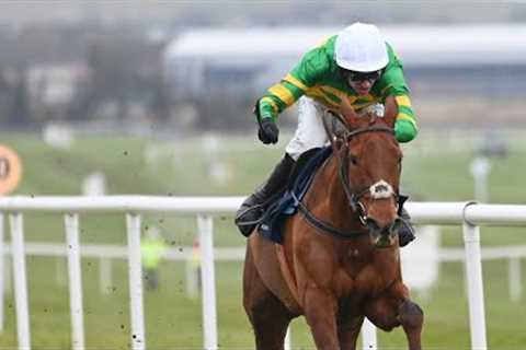 Dinoblue denies stablemate Allegorie De Vassy in thrilling battle at Naas!