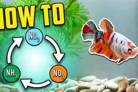 Best Nitrogen Cycle Guide for Beginners (Different Methods Explained)