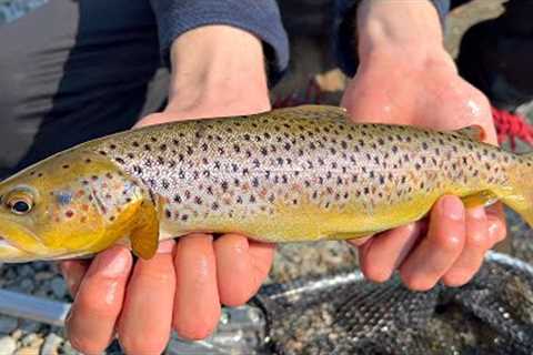 Lure Fishing for WILD TROUT in the Lake District (Amazing scenery!)