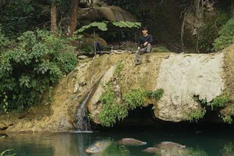 2 Days solo survival CAMPING by the Stream, Fishing, Catch and Cook. Bushcraft Survival Shelter