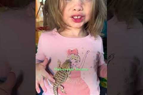 Four-Year Old's BFF Is Her Bearded Dragon | The Dodo