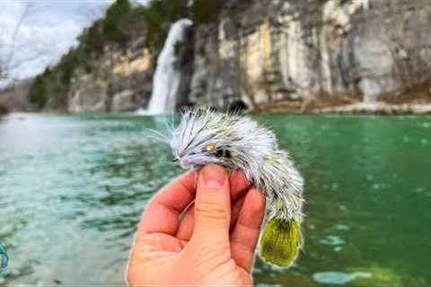Fly Fishing INCREDIBLE Trout Water for 4 Days! (Tennessee Trout Fishing)