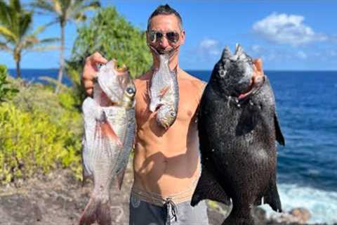 Pushing my limits on deep dives for amazing fish -catch &amp; cook-