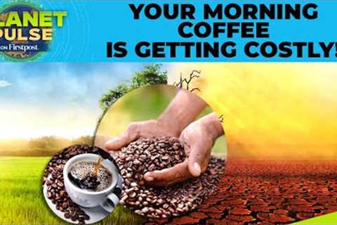 Coffee Prices Skyrocket as Climate Change Causes Global Supply Problems | Planet Pulse | N18G
