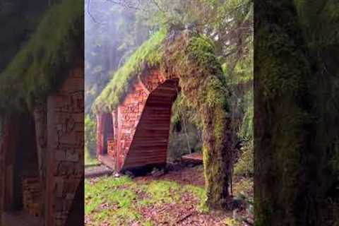 Making our childhood dreams come true #diy #handmade #art #house
