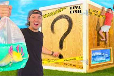 I Bought Every Live Fish Mystery Box Off The Web! ($10,000)