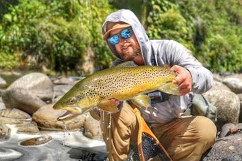 Fly Fishing  NZ North Island BackCountry Brown Trout!