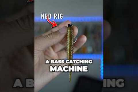 This Lure is a Bass Catching MACHINE! #fishing