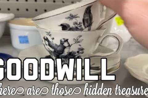 Goodwill Thrift Store Shopping looking to buy flip for Profit