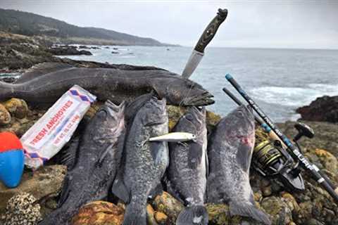 SOLO Catch and Cook - NEW Fishing Techniques to be More Successful!
