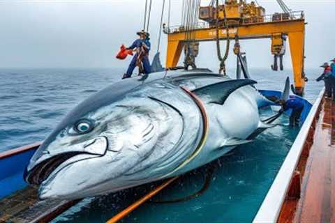 Fishing for MONSTER Tuna with Handline – Catching the Biggest Yellowfin Tuna!
