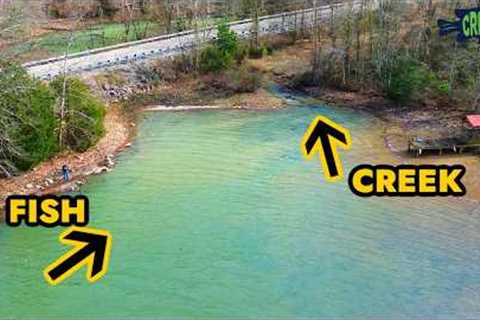 Warm Creek Water had the Fish Schooling