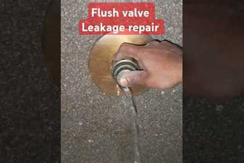 Easily repair flush Valve spindle #plumbing #shortvideo #diy