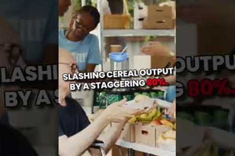 Sudan’s Hunger Crisis EXPLAINED in Minutes!#dailyupdates #crisis #trending #famine #shorts