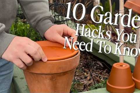 10 FREE Gardening Hacks You’ll Wish You Knew Sooner! 🌱🤯 || Visit Our Garden