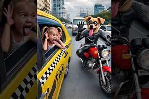 💥 Evolution of Dog : Joking on the road-3 ✅️ #doglover #puppy #dog #shorts #copydoggy