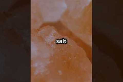 The Truth About Salt  Myths &amp; Facts Revealed  #Salt  #Sodium #EatSmart #SaltFacts #TooMuchSalt