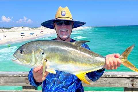 Epic Day Florida Pier Fishing and Cooking Whatever We Catch!