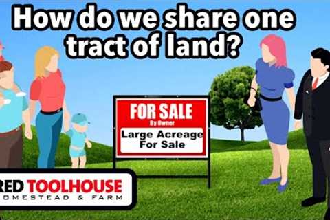 How do I buy land to homestead with family and friends?