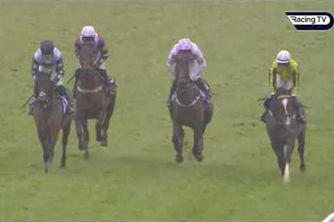 GOLDEN ACE back in to winning ways in Kingwell Hurdle