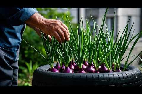 🔴No Money, I Have 101 Useful Tips &amp; Tricks Balcony Vegetable Gardening for Beginners