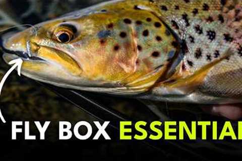 Fly Fishing’s Most Overlooked Flies | Module 3, Section 6