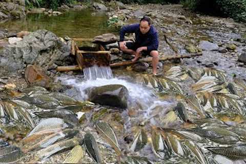 This guy uses Primitive Skills block the whole river to trap fish, The number of fish surprises us