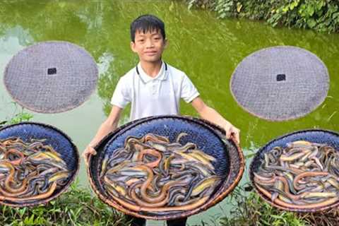 Bac's survival skills, using the primitive method to trap fish, harvest 5kg of eels in a wild pond.