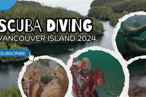 Vancouver Island Scuba Diving 2024 | Highlight Reel #VancouverIsland #ScubaDiving #SonyA7S3