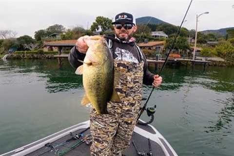 Clear Lake is Bass Fishing Paradise
