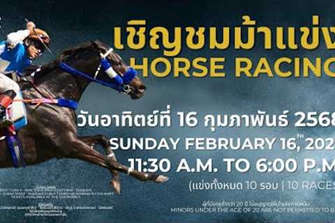 Thailand Horse Racing ไทยแลนด์ฮอร์สเรสซิ่ง | Sunday February 16th 2025