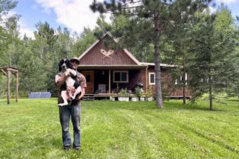 How To Be Free In 2024: Start An Off Grid Homestead