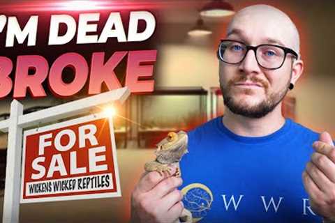 I Went DEAD BROKE Breeding Reptiles and You Might Too!