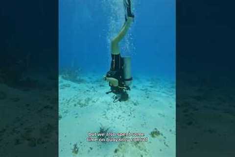 Getting our Advanced Open Water Diver Cert! #scubadiving #scuba #scubadive #scubadivers #diving