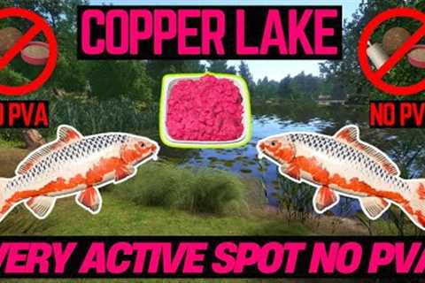 Russian Fishing 4 Active Spot NO PVA (Copper Lake)