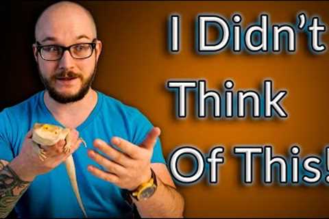 Your Reptile Is Bored! 5 Ways To EASILY Enrich Your Reptiles Life
