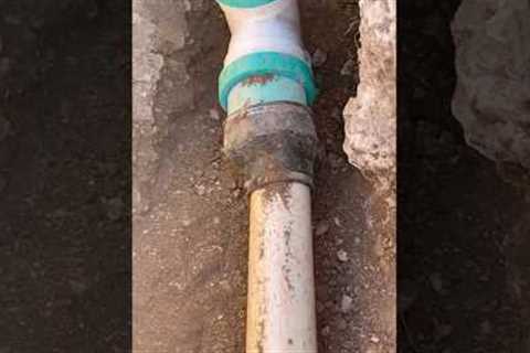 Sewer Line Repair