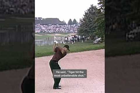 Is this Tiger's BEST shot ever? 🐅