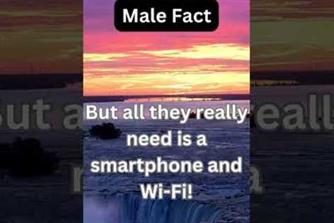 Male Fact for making money online