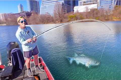 I Caught The Lady Bird Lake Monster! (Fishing Downtown Austin Texas)