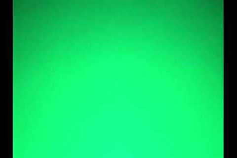 Lake trout on Go Fish Cam