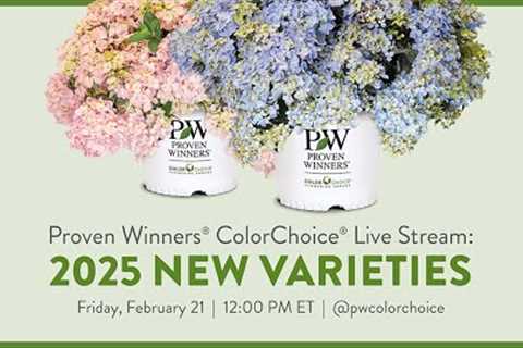 New for 2025 - Proven Winners ColorChoice Shrubs Live Reveal