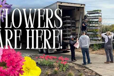 HUGE PROVEN WINNERS ANNUAL FLOWER DELIVERY! 🌸🌼🌿