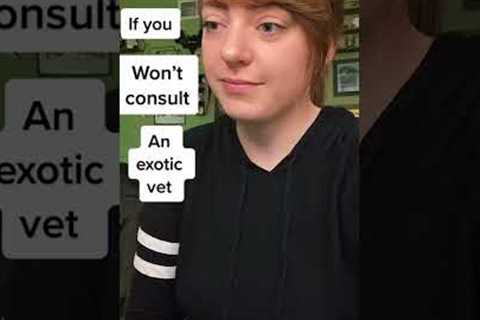 exotic pets need exotic vets! #reptile #pets #animals #reptiles #vet #commentary #opinion