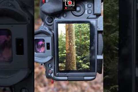 Photography hack &amp; tricks #shorts #shortvideo #shortsfeed #viralvideo #trending #photography #yt
