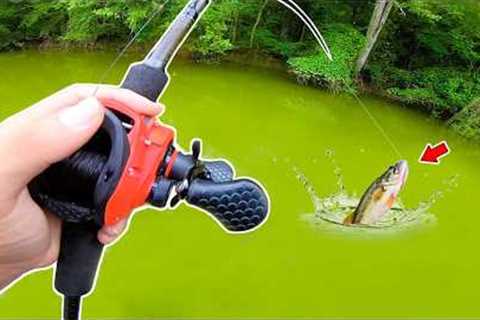 Fishing a Tournament in a HIDDEN Trophy Lake!