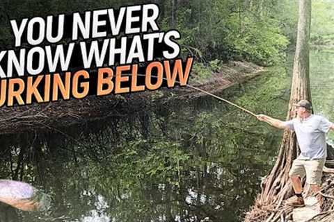 BLUEGILL Fishing The Bottom Of a River [Catch, Cook] Hooked This GIANT Fish!!