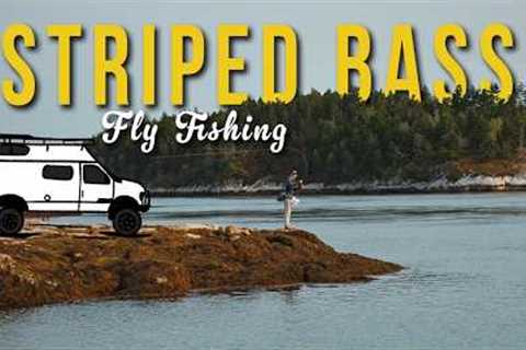 BREAKING TIDES | A Vanlife Quest for East Coast Stripers (DIY Fly Fishing)