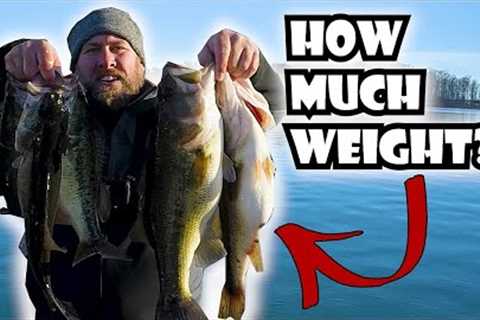 Live Scope Used Winter Bass Fishing Lake Anna, VA | BIG fish Caught